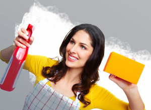 Easy advices for windows cleaning during the end of tenancy cleaning2