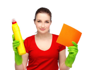 Window Cleaning Solutions and Guidelines2